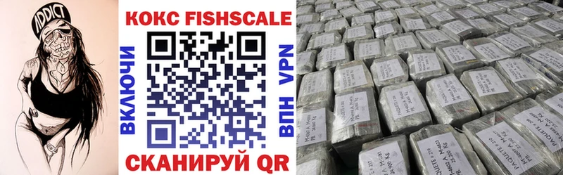 магазин продажи наркотиков  Ревда  Кокаин FishScale 
