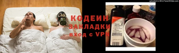 бошки Няндома