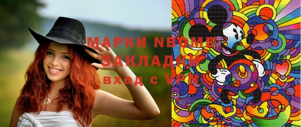 бошки Няндома