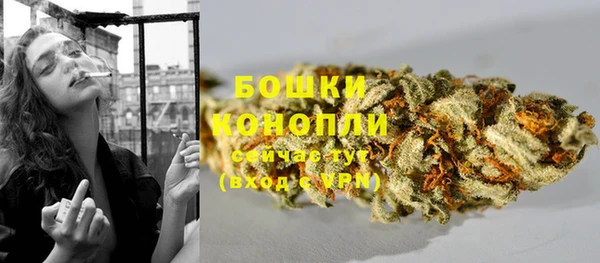 бошки Няндома