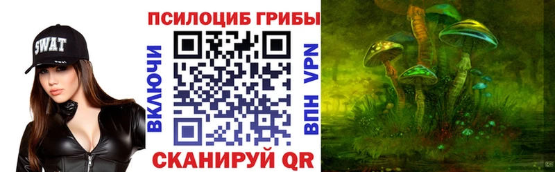 Галлюциногенные грибы мицелий  блэк спрут ТОР  Ревда 